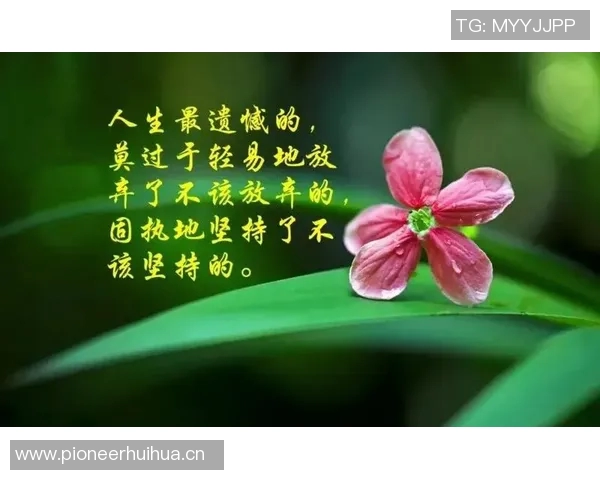 生活琐事与心灵感悟的碎碎念合集三十篇分享 生活琐事与心灵感悟的碎碎念合集三十篇分享