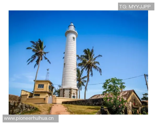 受限制自由球员动态更新格莱姆斯未续约小火车获报价库明加续约两年解析